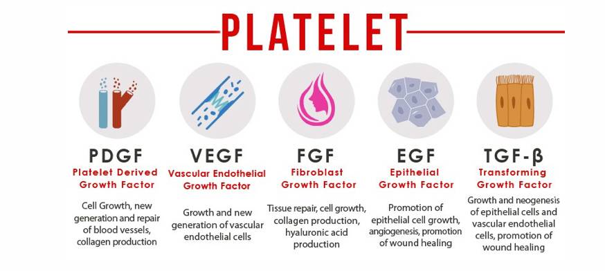 PRP Treatments information PRP Treatments information